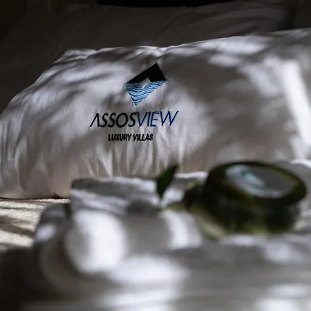 Assosview *