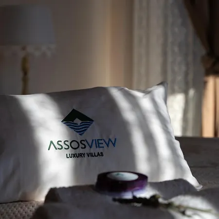 Assosview *