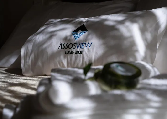 Assosview *