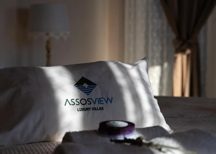 Assosview *